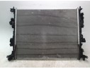 RADIADOR AGUA LX618005BG LX618005BG RN750R005/550216