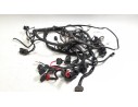 ARNES DE CABLES 1184200103007 