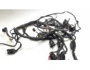 ARNES DE CABLES 1184200103007 1184200103007 
