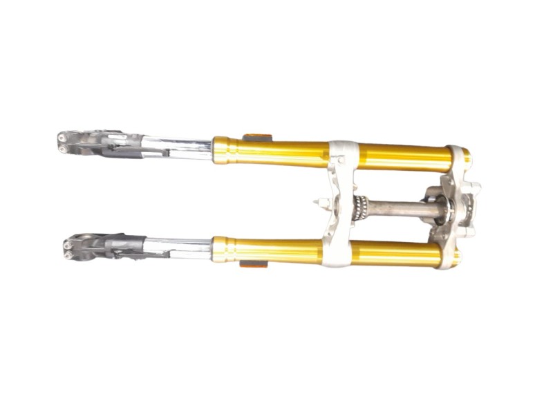 Recambio de horquilla completa para bmw f 900 r referencia OEM IAM 31429467903  