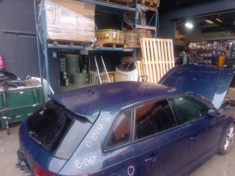 Recambio de techo para audi a3 (8v1, 8vk) 1.6 tdi referencia OEM IAM   