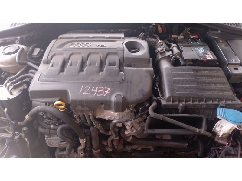 Recambio de motor arranque para audi a3 (8v1, 8vk) 1.6 tdi referencia OEM IAM   