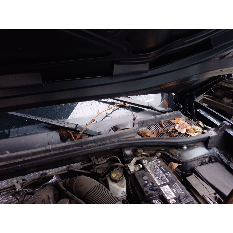 Recambio de motor limpia delantero para cupra formentor (km7, kmp) 1.5 tsi referencia OEM IAM   