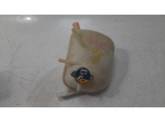 DEPOSITO EXPANSION 25430G4401 