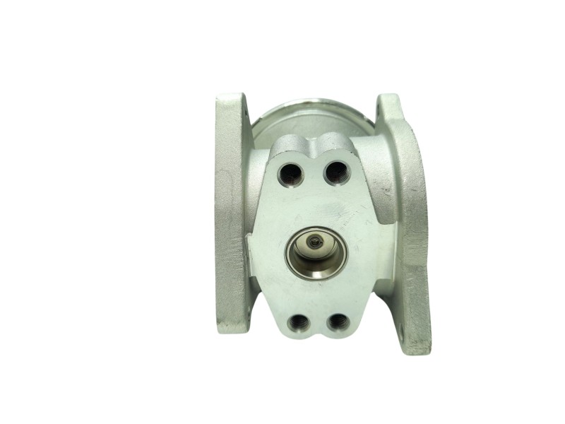 Recambio de valvula egr para audi a3 (8p) 2.0 tdi referencia OEM IAM 038131501AN 221AF07699 221AF07699/EGRSK000/342351