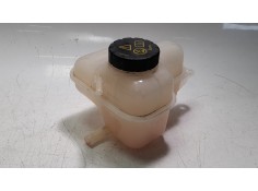 DEPOSITO EXPANSION 10237071 