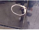 PUERTA TRASERA DERECHA 41525A43C86 41525A43C86 