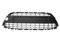 Recambio de rejilla paragolpes delantero para ford fiesta (cb1) referencia OEM IAM 1532213 107104405 107104405/FD3442110/402142K