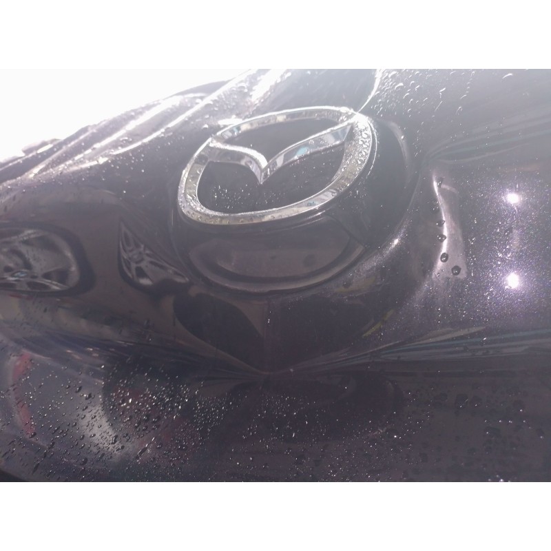 Recambio de maneta exterior porton para mazda 3 hatchback (bp) 2.0 skyactiv-g m hybrid referencia OEM IAM   