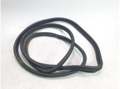 GOMAS CONTORNO PUERTA 1623224080 