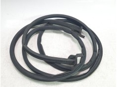 Recambio de gomas contorno puerta para citroën jumper furgon 3.5 l3 h2 bluehdi 14 s&s 6v referencia OEM IAM 1636940280 134393808