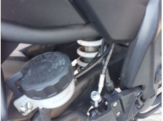 AMORTIGUADOR TRASERO 54217267 