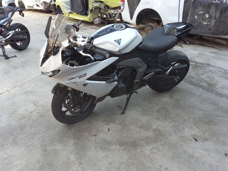 triumph daytona del año 2024