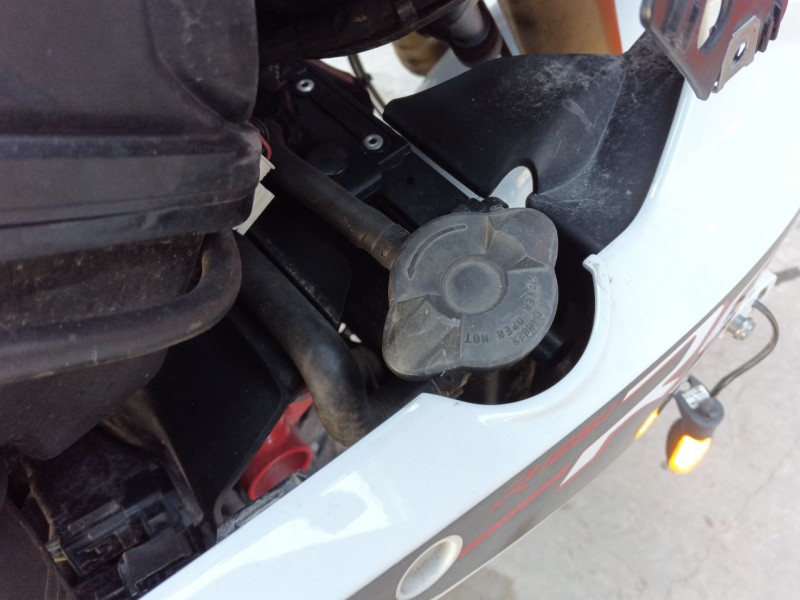 Recambio de radiador agua para bmw r 1250 r 1250 rs (1r13) referencia OEM IAM   