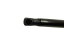 AMORTIGUADORES MALETERO / PORTON 570MM460N 570MM460N 18400050028/DOG2015683 18400050028