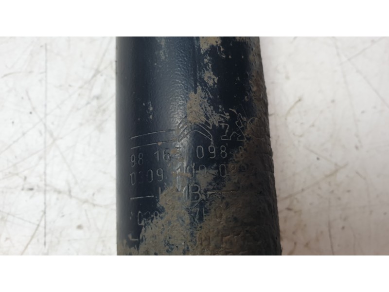 Recambio de amortiguador trasero izquierdo para peugeot expert autobús (v_) 1.6 bluehdi 115 referencia OEM IAM 9816509880  