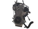 MOTOR COMPLETO BGDC BGDC 