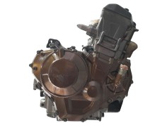 MOTOR COMPLETO SD08E 
