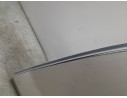 PUERTA TRASERA IZQUIERDA 41009628743 41009628743 