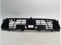 REJILLA PARAGOLPES CENTRAL 622549102R 