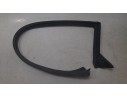 GOMAS CONTORNO PUERTA FR3B6321597A FR3B6321597A 