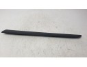 MOLDURA 808211241R 