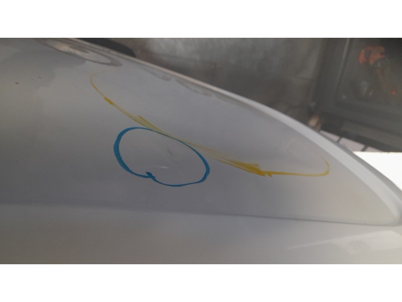 Recambio de puerta trasera izquierda para renault kangoo express (fw0/1_) z.e. (fw0z, fw1z) referencia OEM IAM 901015364R  