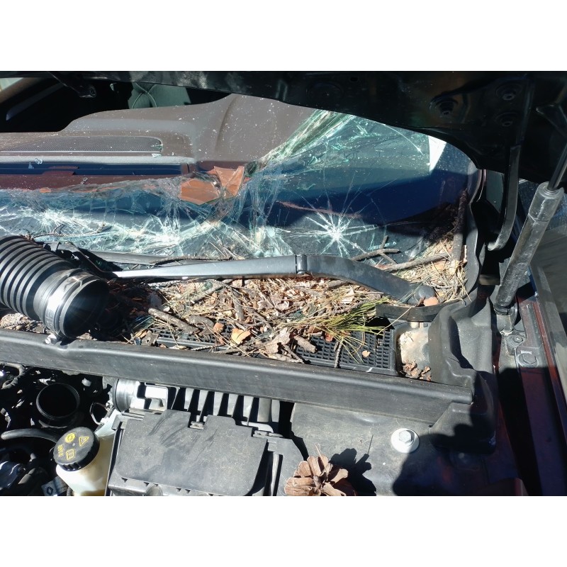 Recambio de motor limpia delantero para renault megane iv sport tourer (k9a/m/n_) 1.3 tce 140 (k9nb) referencia OEM IAM   