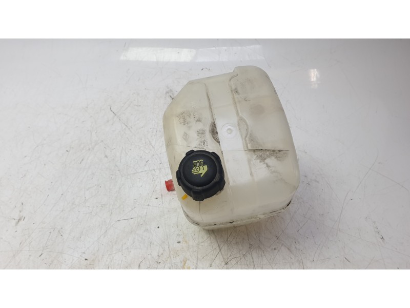 Recambio de deposito expansion para renault kangoo express (fw0/1_) z.e. (fw0z, fw1z) referencia OEM IAM 272687096R  
