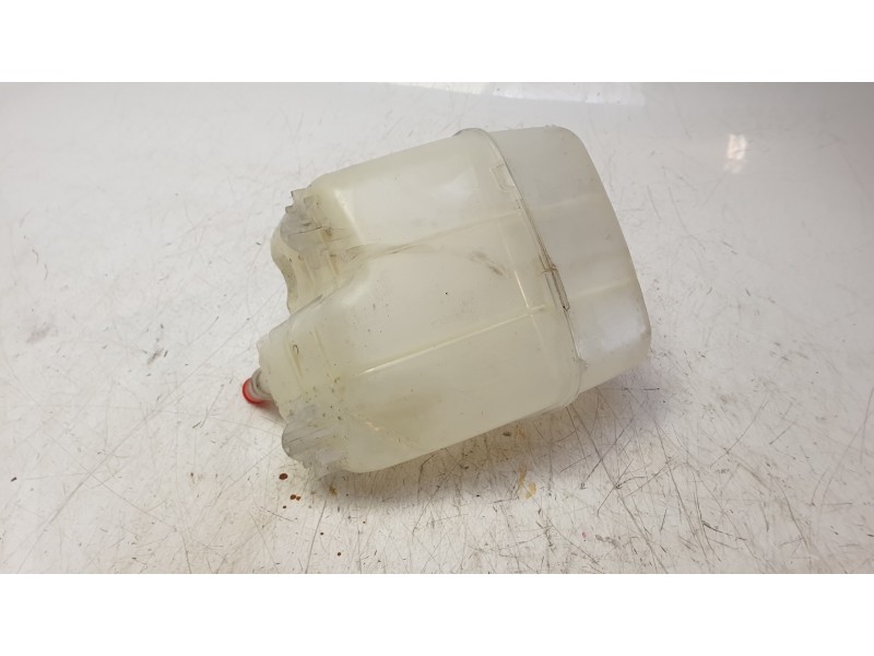 Recambio de deposito expansion para renault kangoo express (fw0/1_) z.e. (fw0z, fw1z) referencia OEM IAM 272687096R  