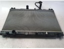 RADIADOR AGUA 1770061M00000 1770061M00000 CZ2230002820