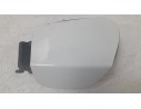TAPA EXTERIOR COMBUSTIBLE 7191267 
