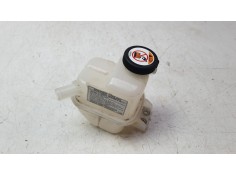 DEPOSITO EXPANSION G91H002130 