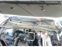 TORPEDO 10319887 10319887 