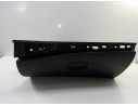 GUANTERA 685600001R 685600001R 
