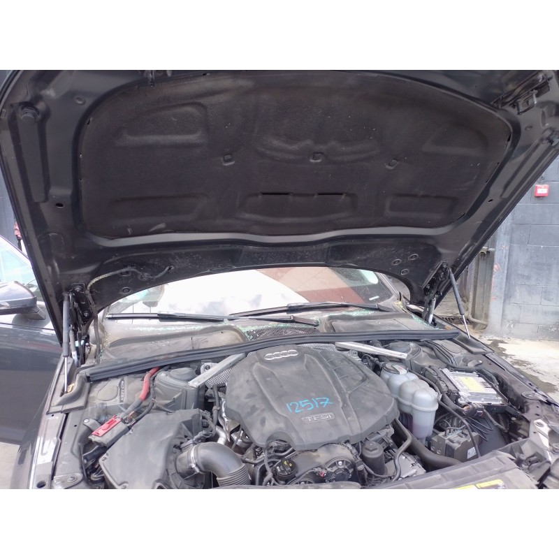 Recambio de amortiguadores capo para audi a4 b9 (8w2, 8wc) 40 tfsi mild hybrid referencia OEM IAM   