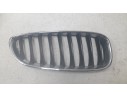 REJILLA DELANTERA 10627110 