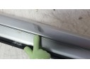 BARRAS TECHO 7821054P10PNG 7821054P10PNG 