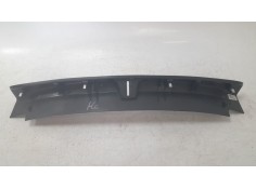Recambio de moldura para tesla model 3 ev referencia OEM IAM 164351200   2