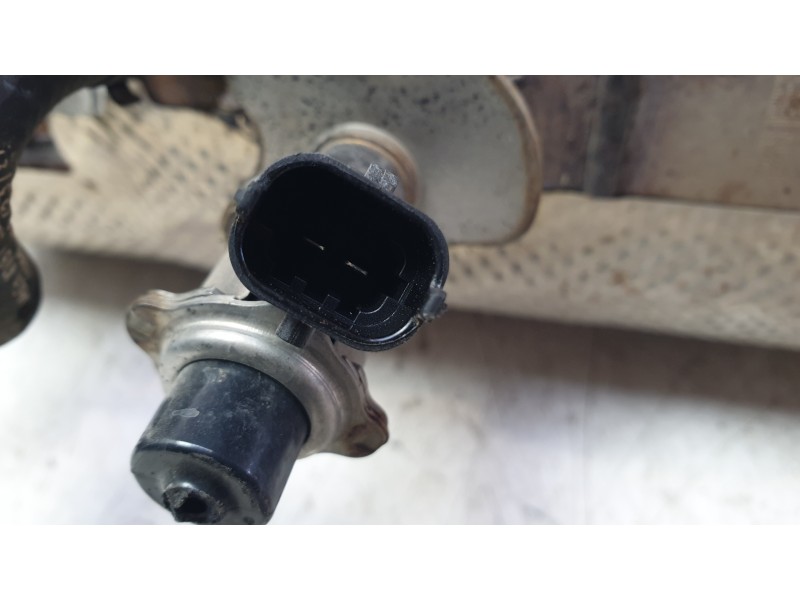 Recambio de catalizador para ford transit connect v408 furgoneta/monovolumen 1.5 ecoblue referencia OEM IAM PZ115L243BA  