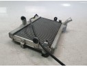 RADIADOR AGUA BEB124610000 BEB124610000 