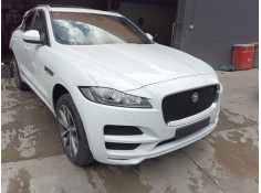 MORRO COMPLETO T4A5644LML 