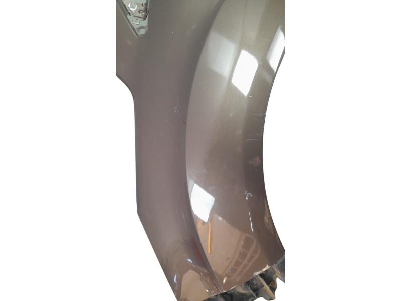 Recambio de aleta delantera izquierda para ford c-max (ceu) business edition referencia OEM IAM 1697805 / 1929670 / 1687101  109