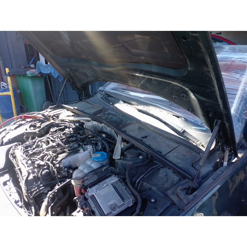 Recambio de amortiguadores capo para audi a4 b9 avant (8w5, 8wd) 2.0 tdi referencia OEM IAM   