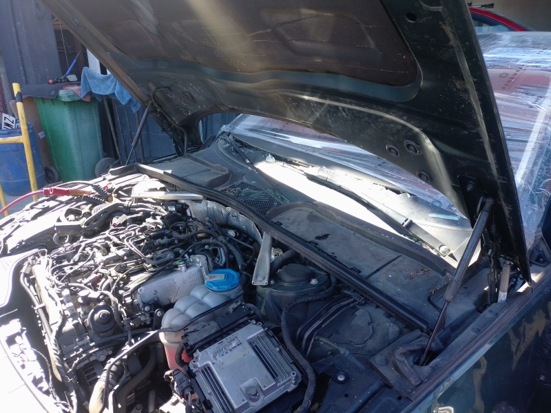 Recambio de amortiguadores capo para audi a4 b9 avant (8w5, 8wd) 2.0 tdi referencia OEM IAM   