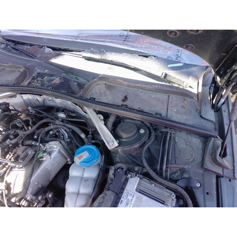 Recambio de motor limpia delantero para audi a4 b9 avant (8w5, 8wd) 2.0 tdi referencia OEM IAM   