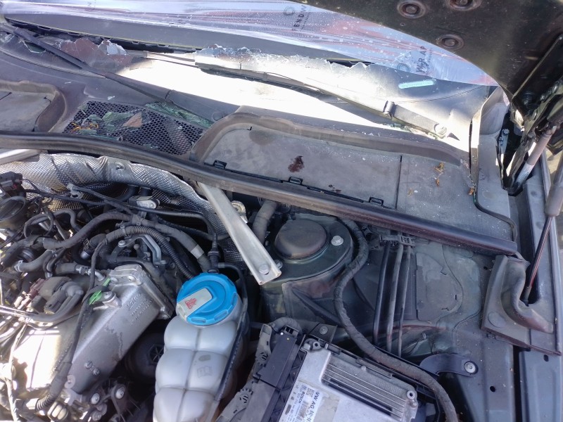 Recambio de motor limpia delantero para audi a4 b9 avant (8w5, 8wd) 2.0 tdi referencia OEM IAM   