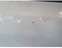 PUERTA DELANTERA DERECHA 1610102180 1610102180 