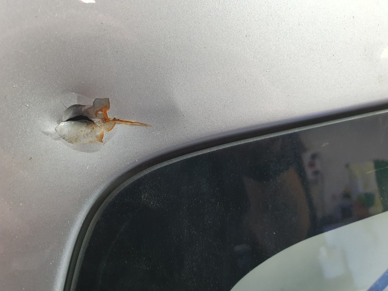 Recambio de porton trasero para mitsubishi montero iii (v7_w, v6_w) 3.2 di-d (v68w, v78w) referencia OEM IAM MR592561  