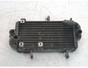 RADIADOR AGUA 1271200066000 